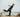 Qigong For Lower Body