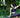 An All Around Introduction to Qigong