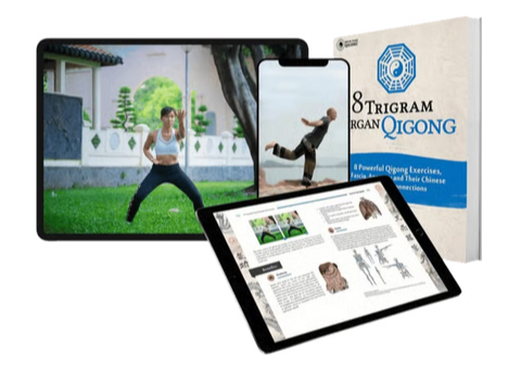 8 Trigram Organ Qigong Online Course and E-Book Bundle